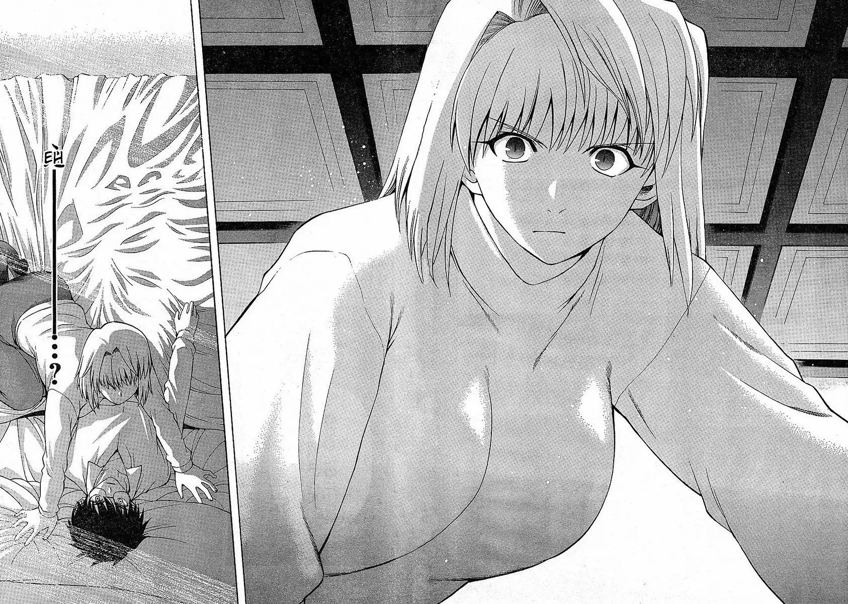 Shingetsutan Tsukihime Chapter 36.037 39